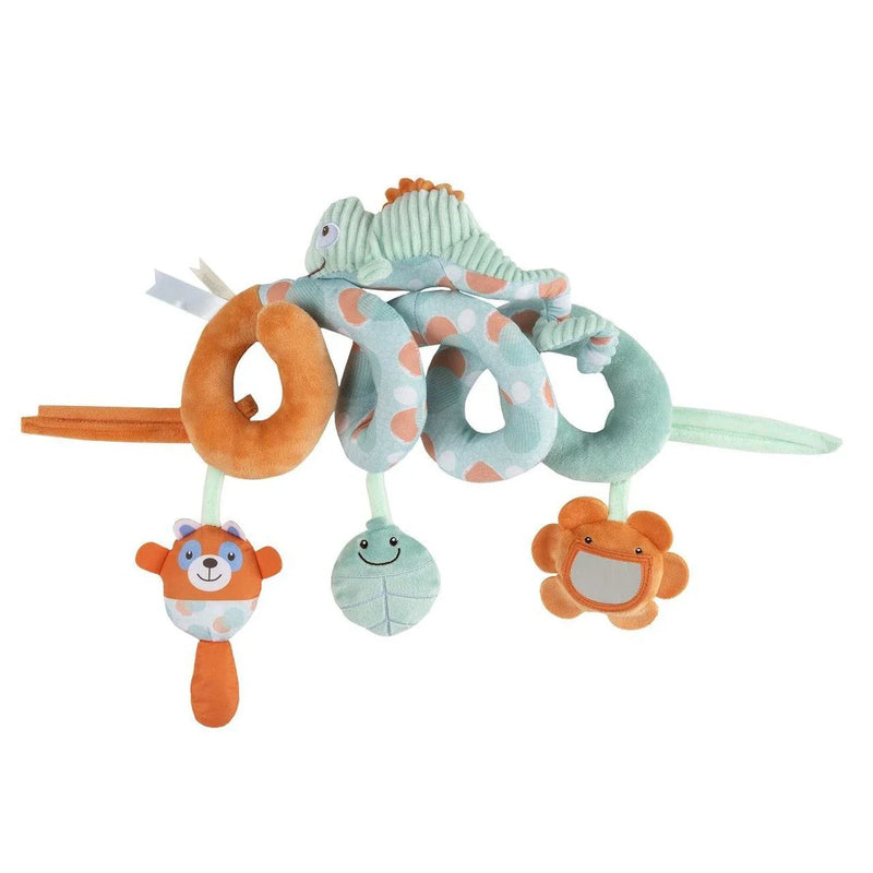 Chameleon Activity Spiral
