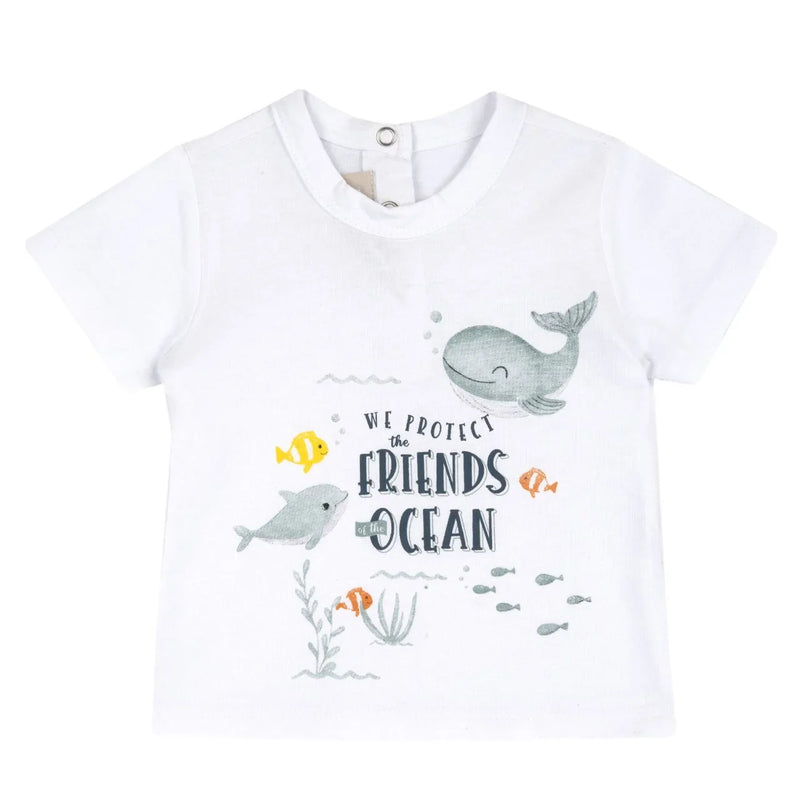 Chicco Short Sleeve T-Shirt 33