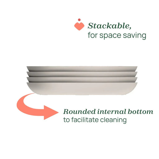 Portioned Plate 12m+ - Design C