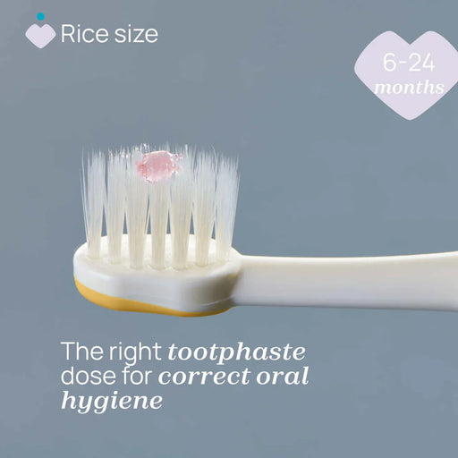 Toothbrush 6-36m+ - Design B